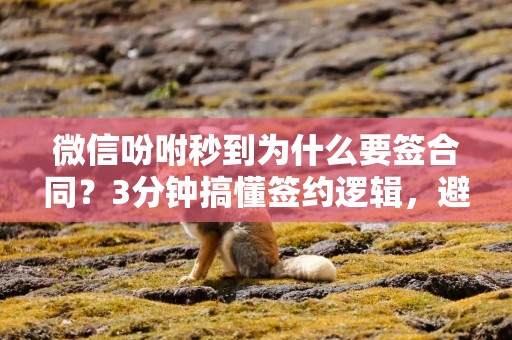 微信吩咐秒到为什么要签合同？3分钟搞懂签约逻辑，避开资金到账的坑