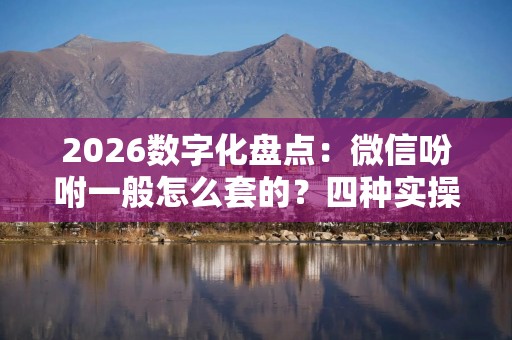 2026数字化盘点：微信吩咐一般怎么套的？四种实操思路全拆解