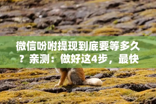 微信吩咐提现到底要等多久？亲测：做好这4步，最快2小时到账
