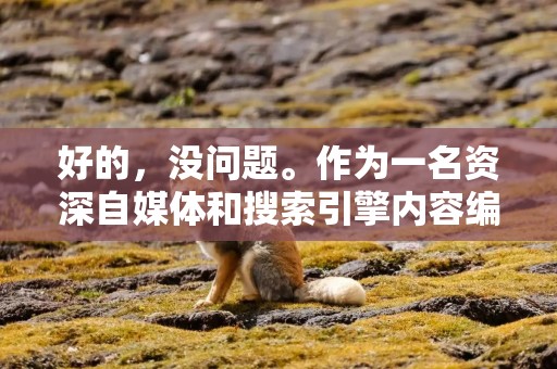 好的，没问题。作为一名资深自媒体和搜索引擎内容编辑，我将根据你的要求，创作一篇关于“分期怎么提现”的教程文章。