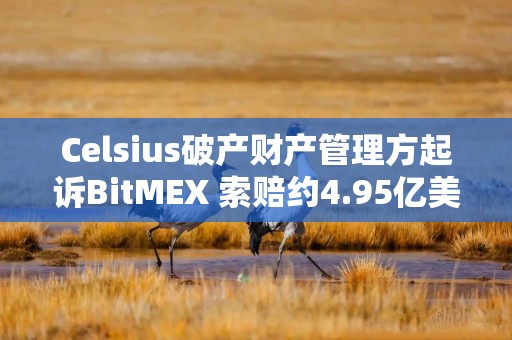 Celsius破产财产管理方起诉BitMEX 索赔约4.95亿美元