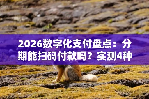 2026数字化支付盘点：分期能扫码付款吗？实测4种方法告诉你答案