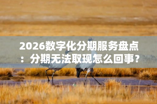 2026数字化分期服务盘点：分期无法取现怎么回事？合作商家、服务入口与4个排查教程