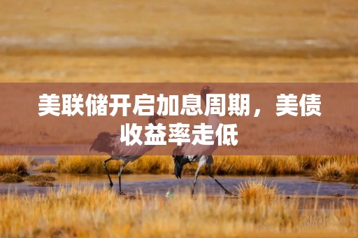 美联储开启加息周期，美债收益率走低