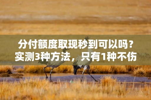 分付额度取现秒到可以吗？实测3种方法，只有1种不伤额度