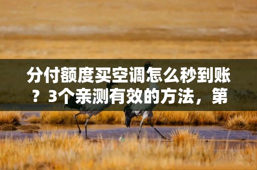 分付额度买空调怎么秒到账？3个亲测有效的方法，第2个最快