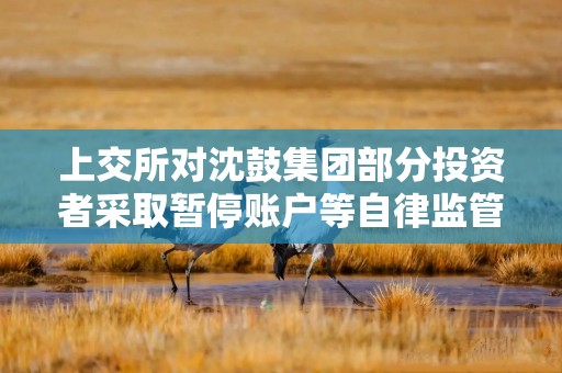上交所对沈鼓集团部分投资者采取暂停账户等自律监管措施