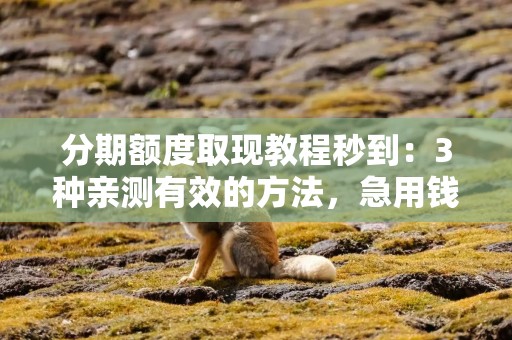分期额度取现教程秒到：3种亲测有效的方法，急用钱时不用求人