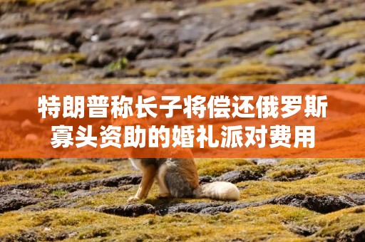 特朗普称长子将偿还俄罗斯寡头资助的婚礼派对费用