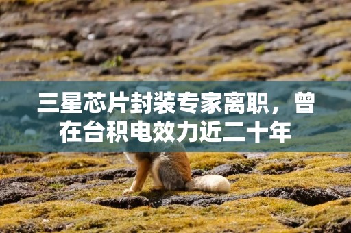 三星芯片封装专家离职，曾在台积电效力近二十年
