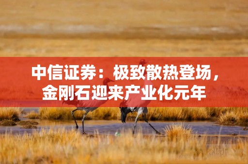 中信证券：极致散热登场，金刚石迎来产业化元年
