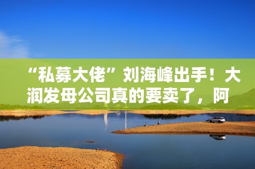“私募大佬”刘海峰出手！大润发母公司真的要卖了，阿里预计套现131亿港元