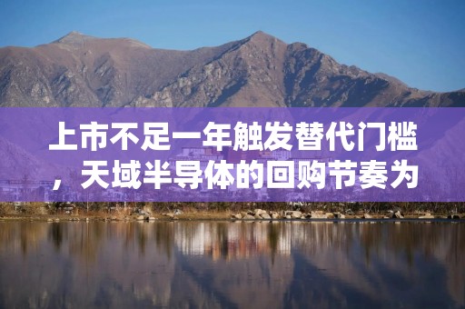 上市不足一年触发替代门槛，天域半导体的回购节奏为何偏快