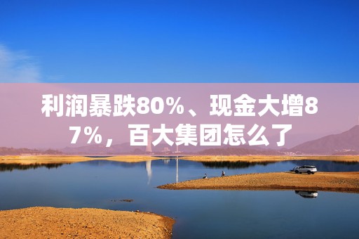利润暴跌80%、现金大增87%，百大集团怎么了