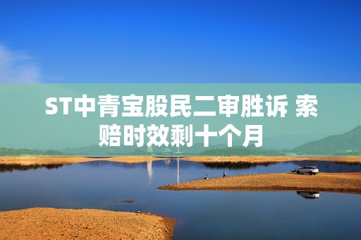 ST中青宝股民二审胜诉 索赔时效剩十个月