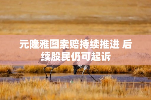 元隆雅图索赔持续推进 后续股民仍可起诉