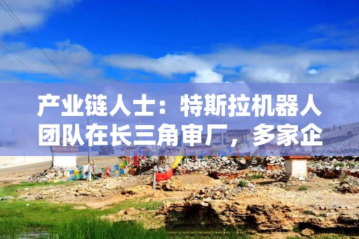 产业链人士：特斯拉机器人团队在长三角审厂，多家企业已获订单