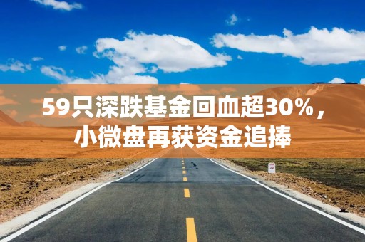 59只深跌基金回血超30%，小微盘再获资金追捧