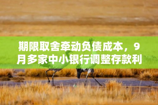 期限取舍牵动负债成本，9月多家中小银行调整存款利率