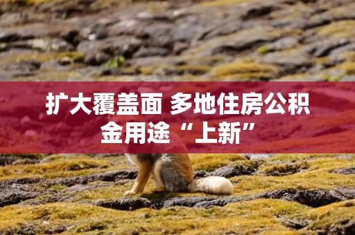 扩大覆盖面 多地住房公积金用途“上新”