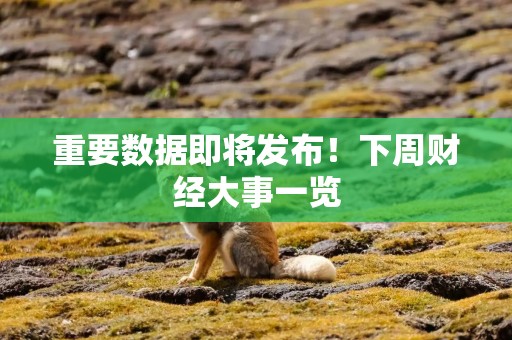 重要数据即将发布！下周财经大事一览