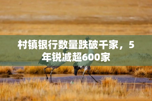 村镇银行数量跌破千家，5年锐减超600家