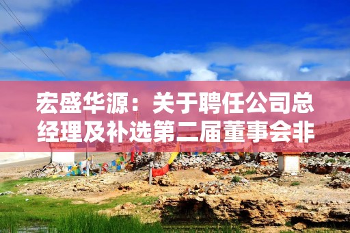 宏盛华源：关于聘任公司总经理及补选第二届董事会非独立董事并调整董事会专门委员会委员的公告