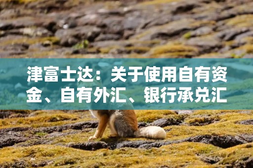 津富士达：关于使用自有资金、自有外汇、银行承兑汇票及信用证等方式支付募投项目部分款项并以募集资金等额置换的公告