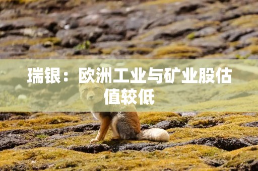 瑞银：欧洲工业与矿业股估值较低
