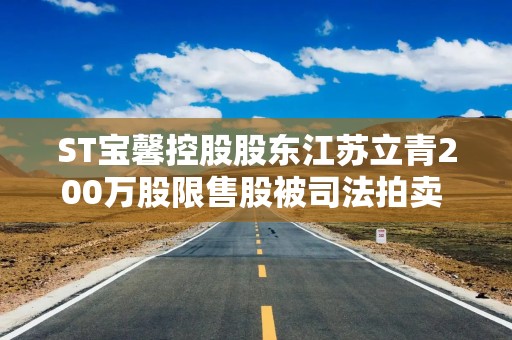 ST宝馨控股股东江苏立青200万股限售股被司法拍卖 高远362.8万元竞得