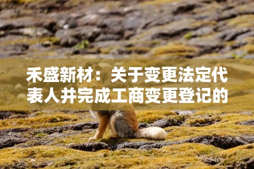 禾盛新材：关于变更法定代表人并完成工商变更登记的公告