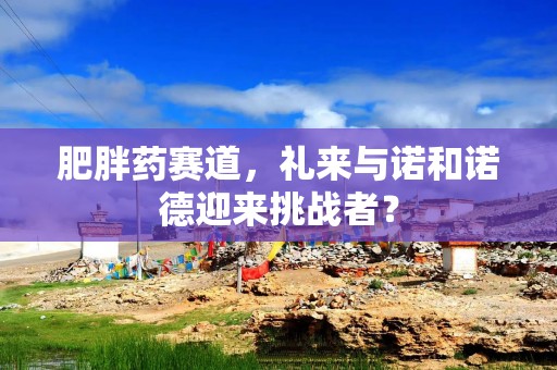 肥胖药赛道，礼来与诺和诺德迎来挑战者？