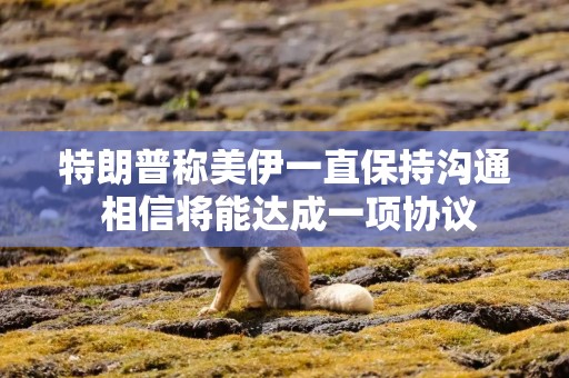 特朗普称美伊一直保持沟通 相信将能达成一项协议