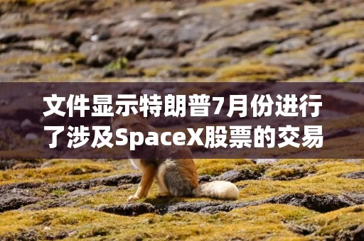文件显示特朗普7月份进行了涉及SpaceX股票的交易