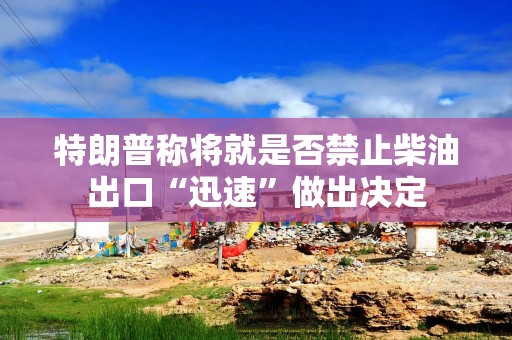 特朗普称将就是否禁止柴油出口“迅速”做出决定