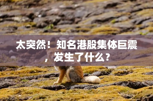 太突然！知名港股集体巨震，发生了什么？