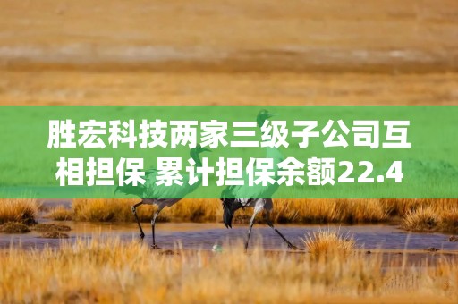 胜宏科技两家三级子公司互相担保 累计担保余额22.44亿元