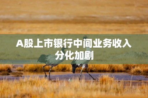 A股上市银行中间业务收入分化加剧
