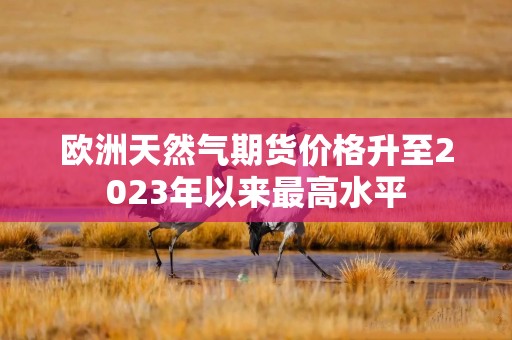 欧洲天然气期货价格升至2023年以来最高水平