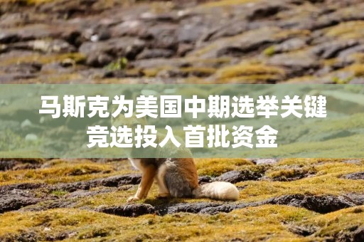 马斯克为美国中期选举关键竞选投入首批资金
