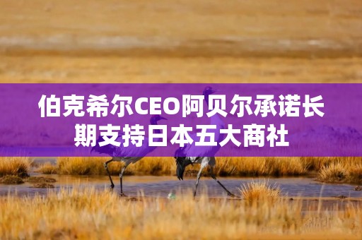 伯克希尔CEO阿贝尔承诺长期支持日本五大商社