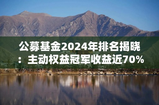 公募基金2024年排名揭晓：主动权益冠军收益近70%，债基最高收益超20%