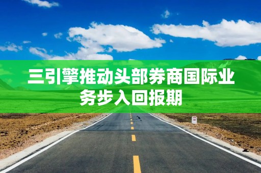 三引擎推动头部券商国际业务步入回报期