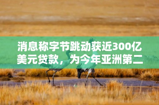 消息称字节跳动获近300亿美元贷款，为今年亚洲第二大美元贷款