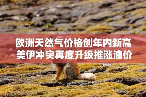 欧洲天然气价格创年内新高 美伊冲突再度升级推涨油价