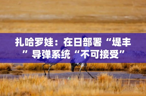 扎哈罗娃：在日部署“堤丰”导弹系统“不可接受”