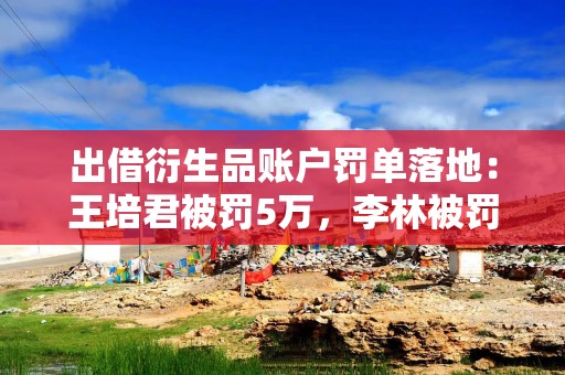 出借衍生品账户罚单落地：王培君被罚5万，李林被罚3万