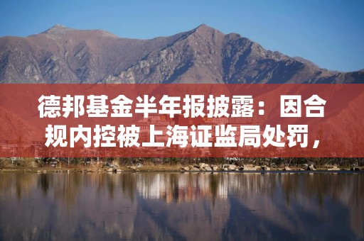 德邦基金半年报披露：因合规内控被上海证监局处罚，部分高管和从业人员被出具警示函、监管谈话
