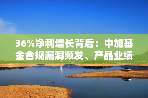 36%净利增长背后：中加基金合规漏洞频发、产品业绩表现惨淡