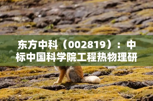 东方中科（002819）：中标中国科学院工程热物理研究所采购项目，中标金额为177.00万元